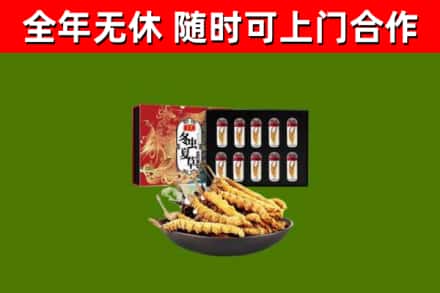 绥滨回收冬虫夏草价格