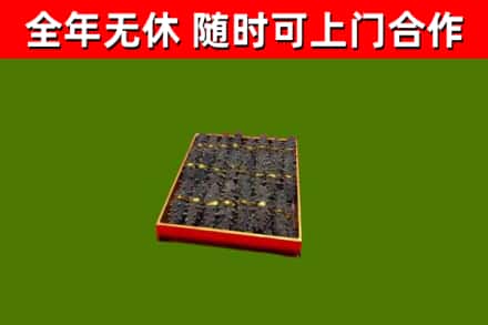 绥滨回收海参